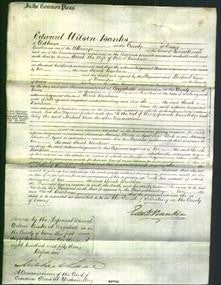 Court of Common Pleas - Sarah Banham-Original Ancestry