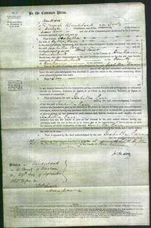 Court of Common Pleas - Isabella Carr-Original Ancestry
