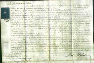 Court of Common Pleas - Hannah Batson-Original Ancestry