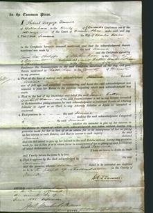 Court of Common Pleas - Jemima Bowen-Original Ancestry