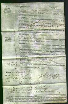 Court of Common Pleas - Betsey Vye Benoke-Original Ancestry