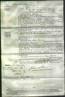 Court of Common Pleas - Selina Eleanora Johnston-Original Ancestry