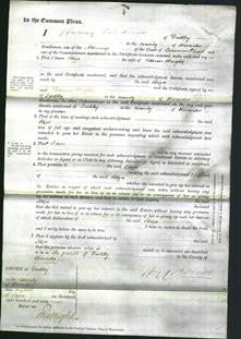 Court of Common Pleas - Eliza Wright-Original Ancestry