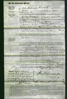 Court of Common Pleas - Marianne Gilespie-Original Ancestry