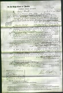 Court of Common Pleas - Elizabeth Sophia Caroline Flinton-Original Ancestry