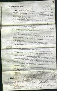 Court of Common Pleas - Sarah Harwood-Original Ancestry