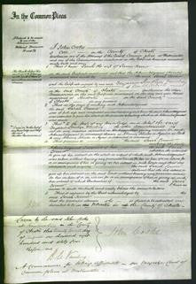 Court of Common Pleas - Sarah Connor-Original Ancestry