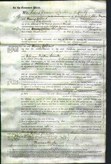 Court of Common Pleas - Susannah Witherington-Original Ancestry