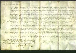 Court of Common Pleas - Lydia Lady Viscountess Downe-Original Ancestry