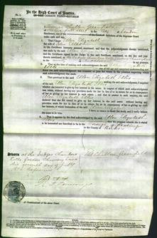 Court of Common Pleas - Ellen Elizabeth Ellis-Original Ancestry