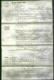 Court of Common Pleas - Barbara Pearson-Original Ancestry