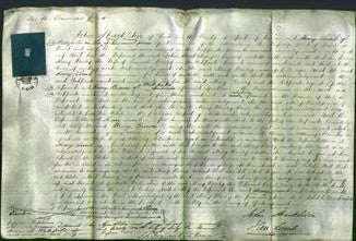 Court of Common Pleas - Mary Rowley-Original Ancestry