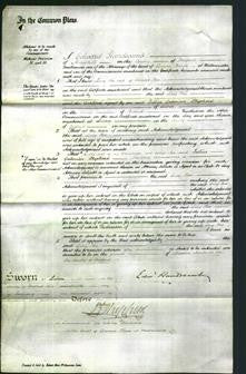 Court of Common Pleas - Lucy Roe-Original Ancestry