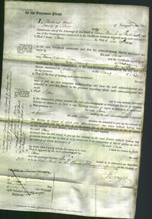 Court of Common Pleas - Ann Steere-Original Ancestry