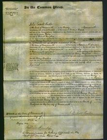 Court of Common Pleas - Mary Vaughan-Original Ancestry