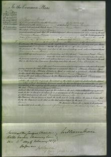 Court of Common Pleas - Frances Anne Bain-Original Ancestry