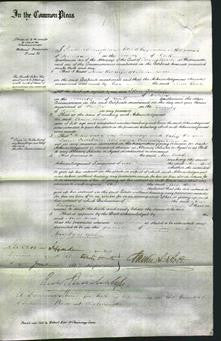 Court of Common Pleas - Ann Booth-Original Ancestry