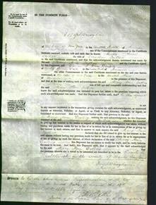 Court of Common Pleas - Mary Ann DuBois-Original Ancestry