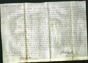 Court of Common Pleas - Sarah Stephenson-Original Ancestry