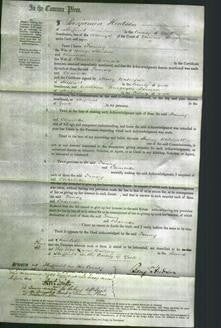 Court of Common Pleas - Fanny Stalton and Charlotte Garratt-Original Ancestry