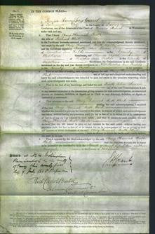 Court of Common Pleas - Mary Hannah Ruth White-Original Ancestry