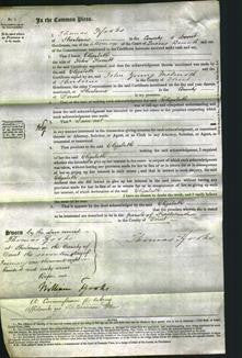 Court of Common Pleas - Elizabeth Parrett-Original Ancestry