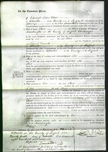 Court of Common Pleas - Ann Wilkins-Original Ancestry