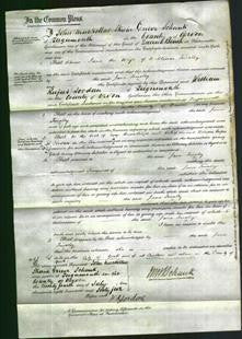 Court of Common Pleas - Jane Tinsley-Original Ancestry