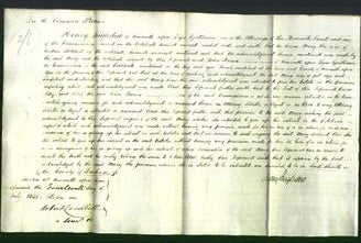 Court of Common Pleas - Mary Stoddart-Original Ancestry