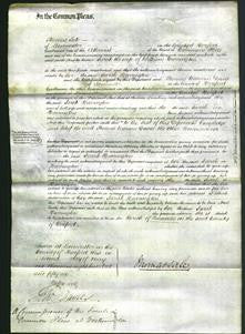 Court of Common Pleas - Sarah Harrington-Original Ancestry