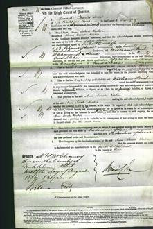 Court of Common Pleas - Ann Sarah Kocher-Original Ancestry