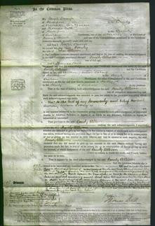 Court of Common Pleas - Emily Allison-Original Ancestry