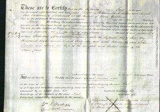 Deed by Married Women - Sarah Tucker-Original Ancestry