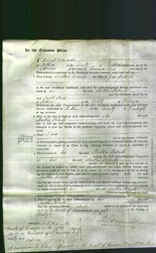 Court of Common Pleas - Martha Roberts-Original Ancestry