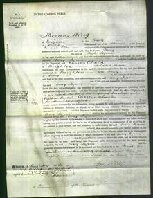 Court of Common Pleas - Mary Ingram-Original Ancestry