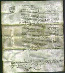 Court of Common Pleas - Elizabeth Dow-Original Ancestry