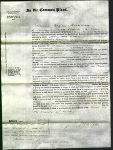 Court of Common Pleas - Mary Ann Burton-Original Ancestry