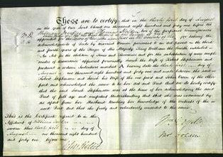 Deed by Married Women - Sarah Stephenson-Original Ancestry