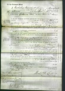 Court of Common Pleas - Catharine Stone-Original Ancestry