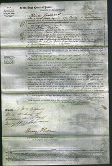 Court of Common Pleas - Mary Jane Grace-Original Ancestry