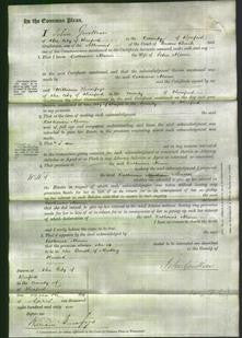 Court of Common Pleas - Catherine Munn-Original Ancestry