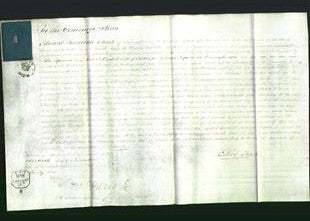 Court of Common Pleas - Martha Dow-Original Ancestry