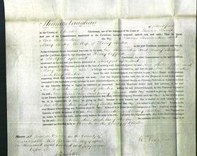 Court of Common Pleas - Ann Shelmerdine and Mary Stenton-Original Ancestry