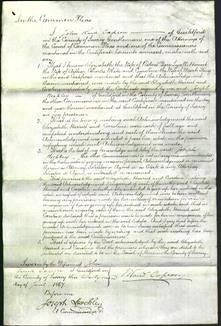 Court of Common Pleas - Elizabeth Lyall, Harriet White and Caroline King-Original Ancestry