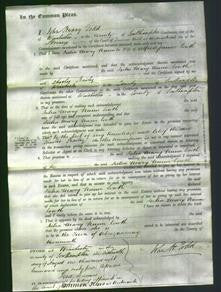 Court of Common Pleas - Julia Mary Nunn Lowth-Original Ancestry