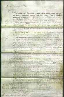 Court of Common Pleas - Elizabeth Allott and Hannah Maria Schofield-Original Ancestry