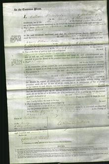 Court of Common Pleas - Amelia Latitia Dowdeswell-Original Ancestry