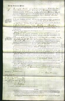 Court of Common Pleas - Sarah Forster-Original Ancestry