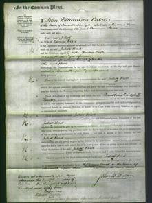 Court of Common Pleas - Julia Reed-Original Ancestry