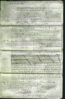 Court of Common Pleas - Caroline Parton-Original Ancestry